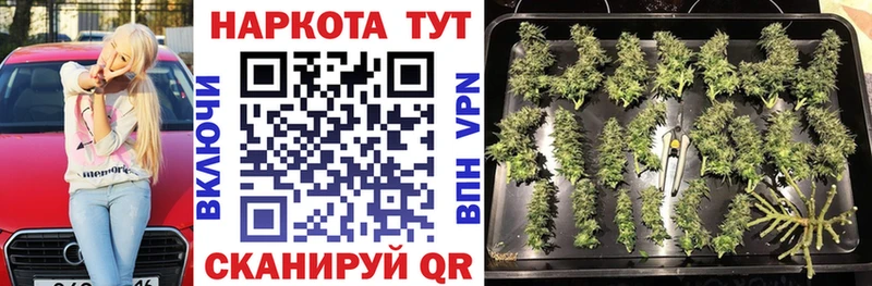Галлюциногенные грибы Великий Устюг