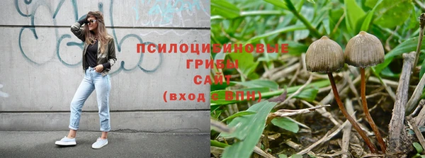 гашиш Володарск