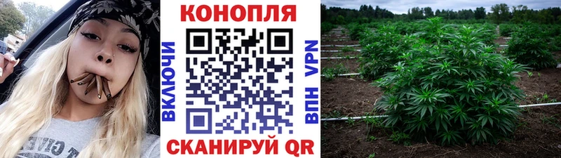 Купить где  Великий Устюг  Бошки Шишки OG Kush 